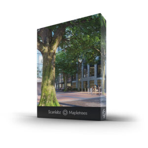 Scanlabz Collection Maple Trees