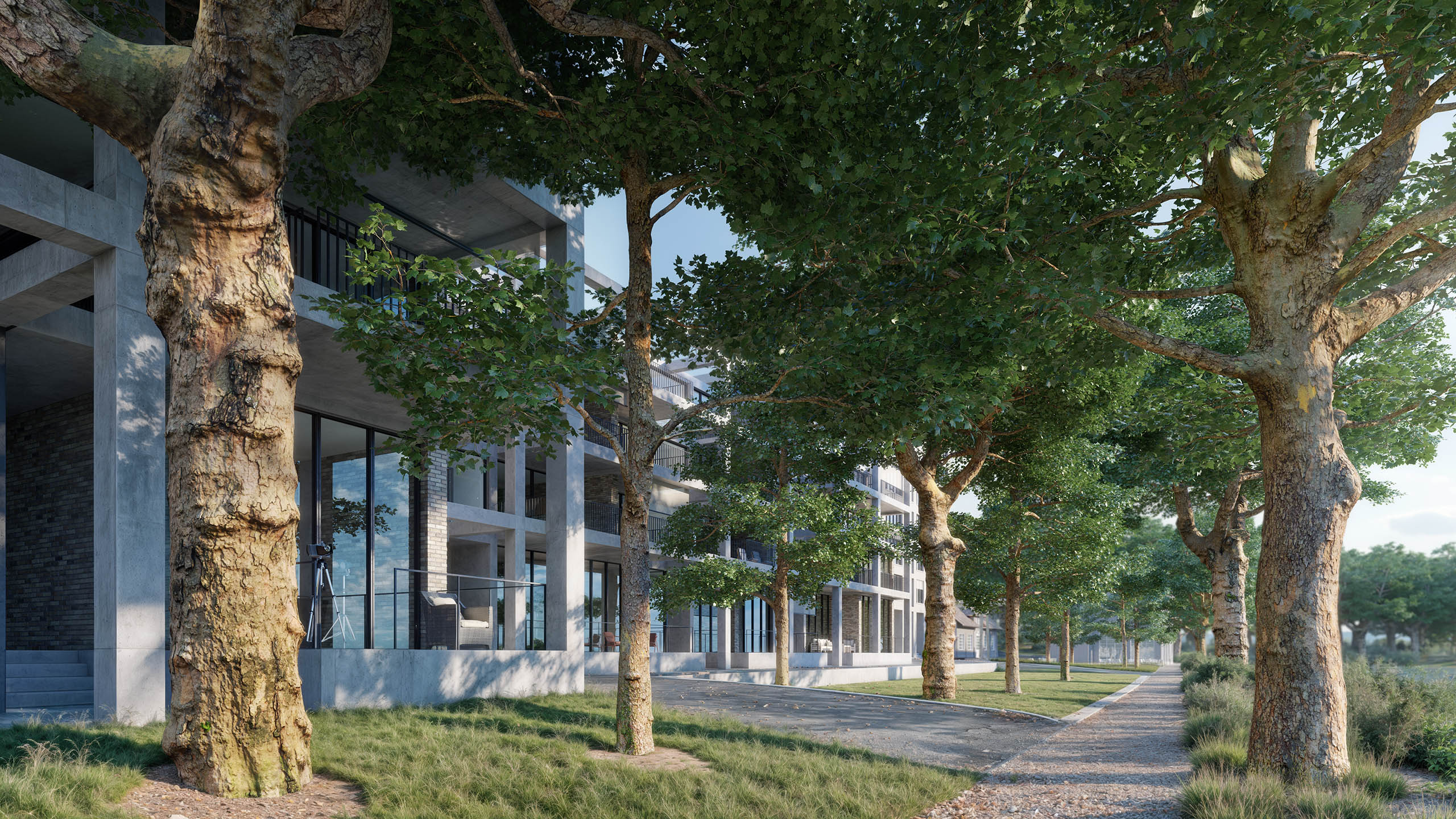 High-quality photoscanned collection of realistic plane tree 3D models from Scanlabz for V-Ray and 3ds Max visualization