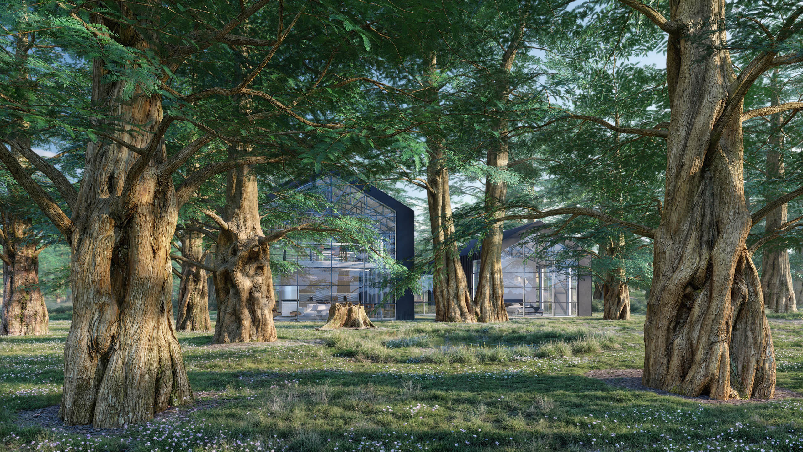Photoscanned 3D model collection of realistic dawn redwood trees by Scanlabz for V-Ray and 3ds Max renderings