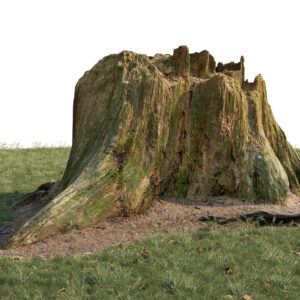 Scanlabz Freebie Treestump A