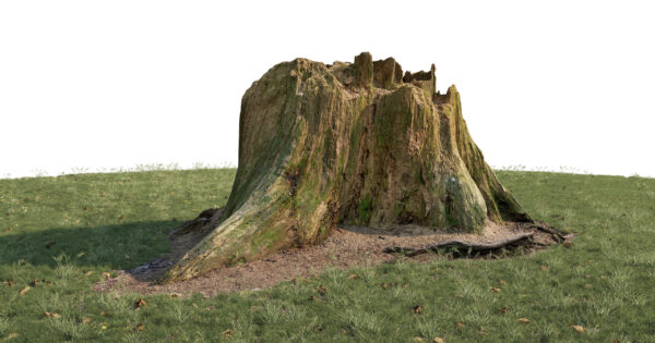 Scanlabz Freebie Treestump A