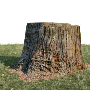 Scanlabz Freebie Treestump B
