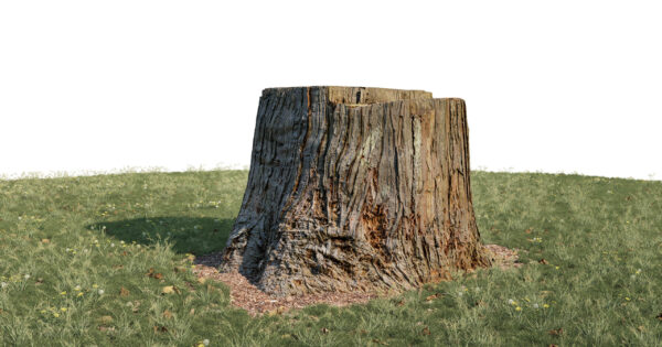 Scanlabz Freebie Treestump B